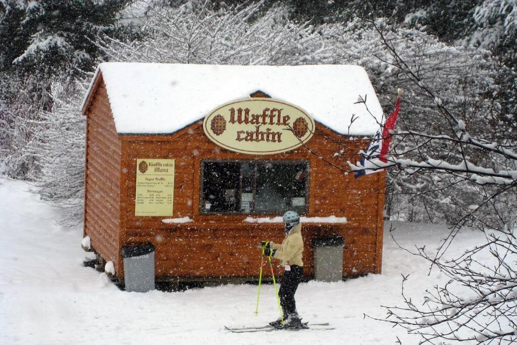 Skiing, Hiking, Village Of Eville Mtn Escape Apartment Ellicottville
